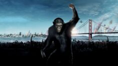 New Movies in Theaters – May 2024