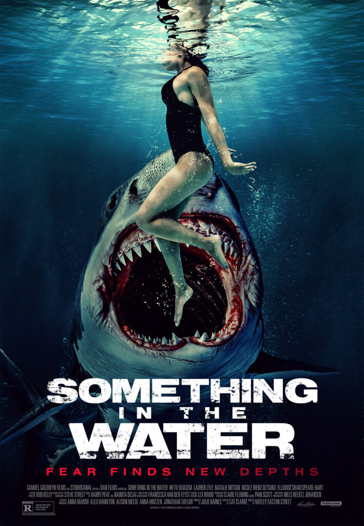 Something In The Water Poster