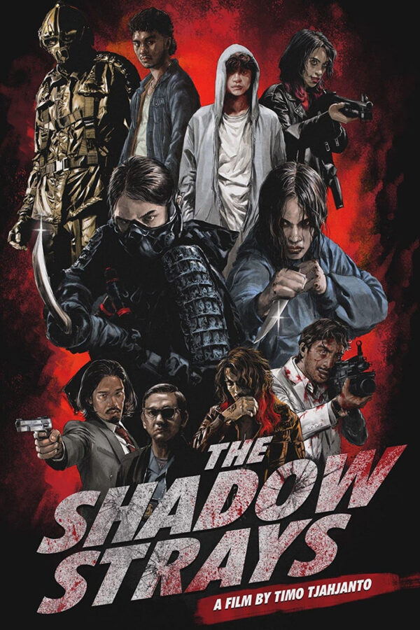 The Shadow Strays Poster