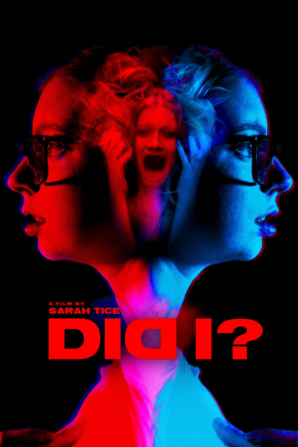 Did I? Poster
