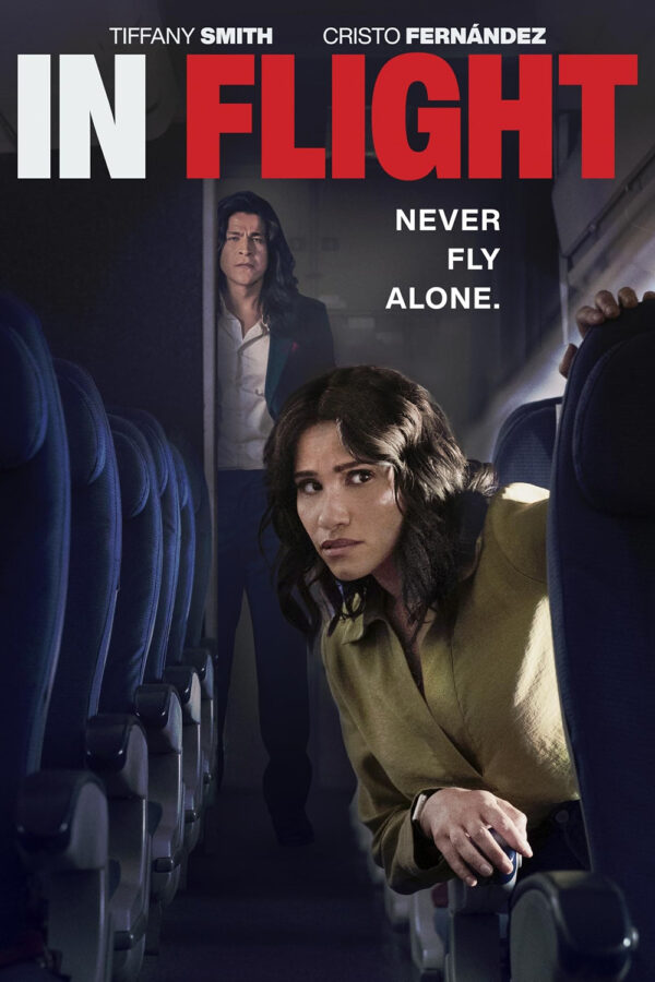 In Flight Poster