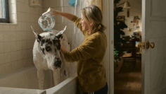 Everything Coming to Paramount+ in August 2025