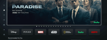 Hulu to Become Apart of Disney+
